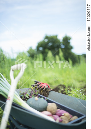 青年與農業 12020527