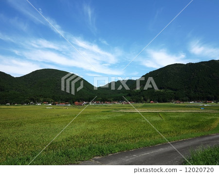 countryside countryside 12020720