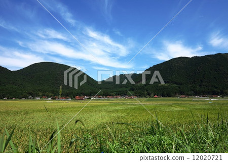 農村 12020721