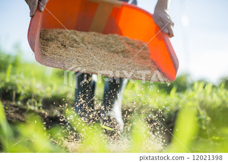 Youth and agriculture Youth and agriculture 12021398