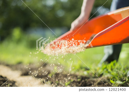 青年與農業 12021400