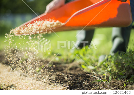 Youth and agriculture 12021403