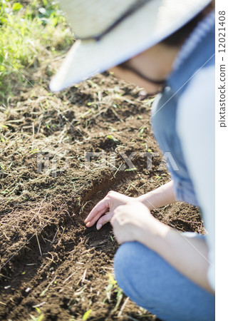 Youth and agriculture 12021408