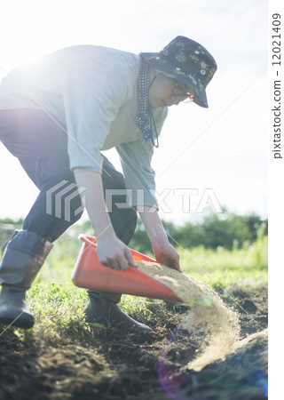 Youth and agriculture 12021409