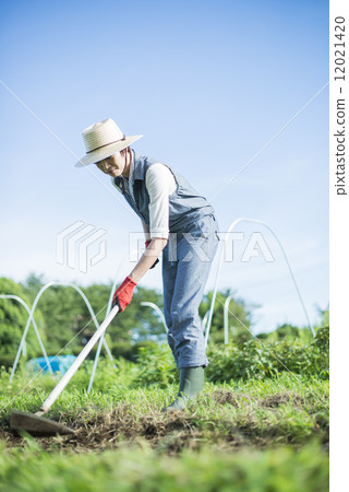 Youth and agriculture Youth and agriculture 12021420