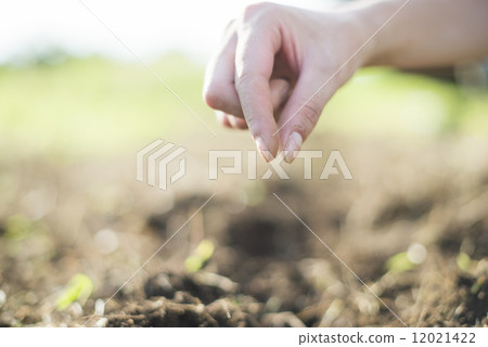 Youth and agriculture 12021422