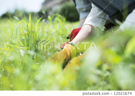 青年與農業 12021674
