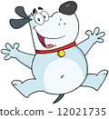 Happy Gray Fat Dog Jumping 12021735