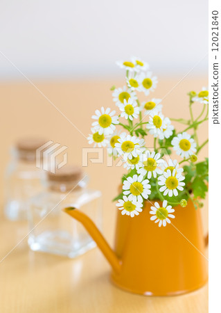 Freshly harvested decorated jug and small bottle 12021840
