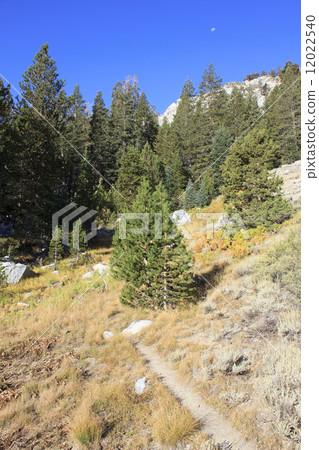 Mineral King / Sequoia National Park 12022540