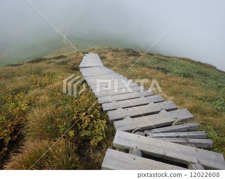 山路的台階 12022608