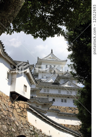 Himeji castle   12022693