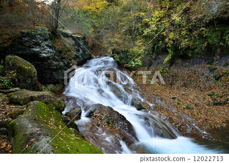 Yokutani谷的秋天 12022713