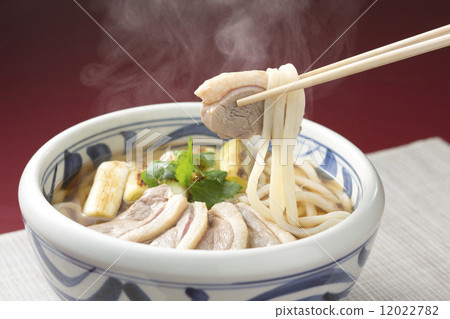 Duck udon 12022782