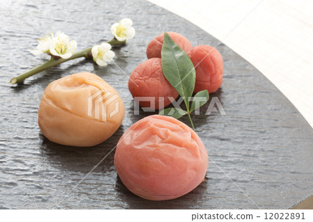 Salted plum Salted plum 12022891