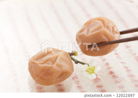 Salted plum  12022897