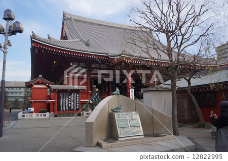 Asakusa Asakusaji Main Hall and "Pigeon poet" 12022995