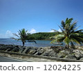 View of Guam 12024225