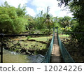 Tour scene of Guam 12024226