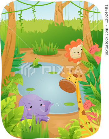 Safari Animals Safari Animals 12024491
