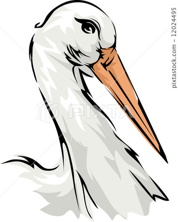 Stork 12024495
