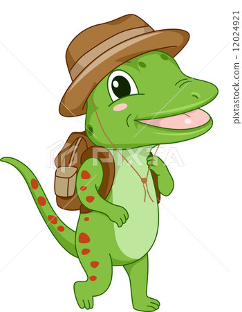Safari Gecko 12024921