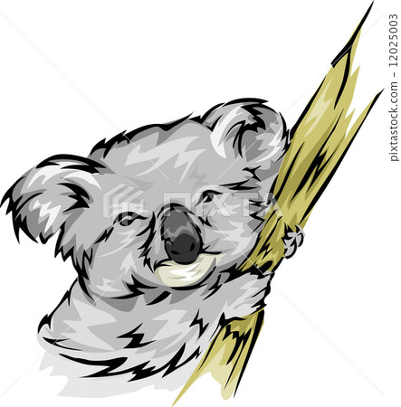 Koala Koala 12025003