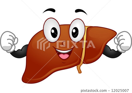 Liver Mascot 12025007
