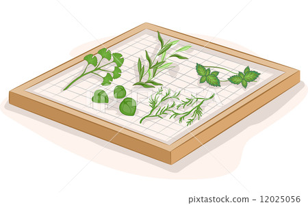 Drying Herbs Drying Herbs 12025056