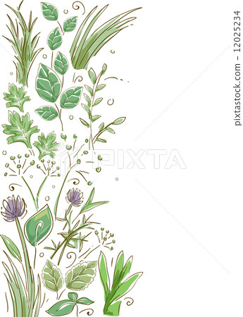 Herbs Border 12025234