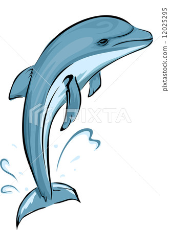 Dolphin Dolphin 12025295