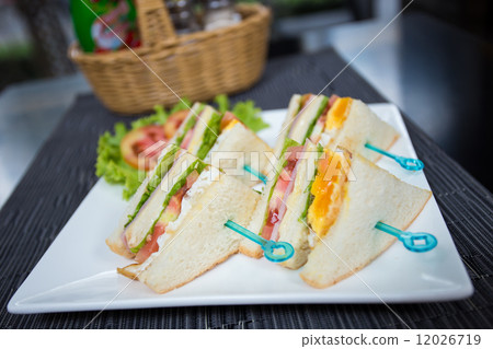 Egg Salad Sandwich 12026719
