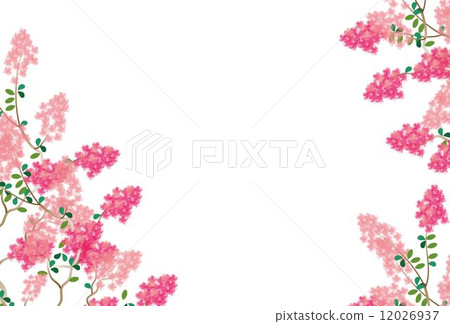 縐綢桃金孃屬佛拉明柯舞曲框架 縐綢桃金孃屬佛拉明柯舞曲框架 12026937