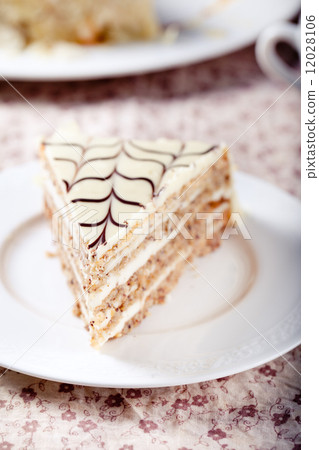 Traditional Hungarian Esterhazy cake Traditional Hungarian Esterhazy cake 12028106