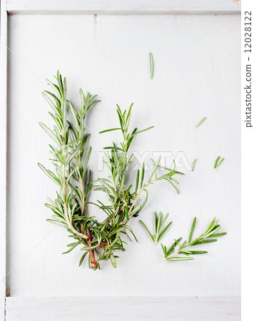 Fresh rosemary bound, sprigs in a glass 12028122