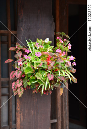Floral decorations in the streets 12028892