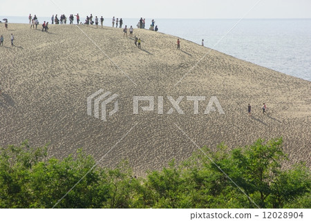 Tottori sand dunes 12028904