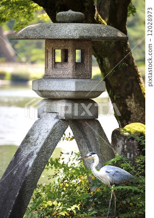 Kenrokuen庭院燈籠竹筍 12028973