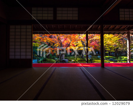 日本寺廟秋葉 12029079