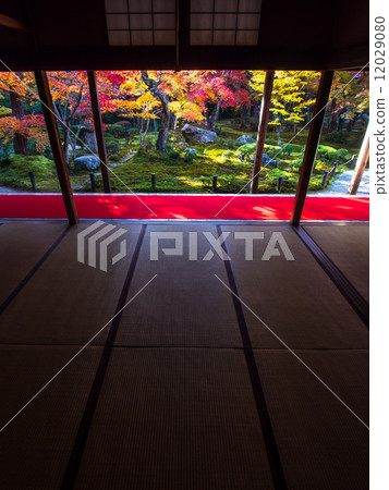 日本寺廟秋葉 12029080