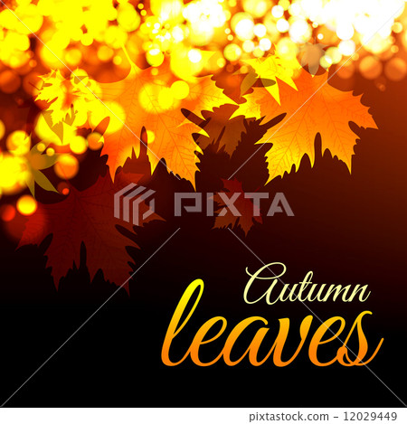 Autumn leaves Autumn leaves 12029449