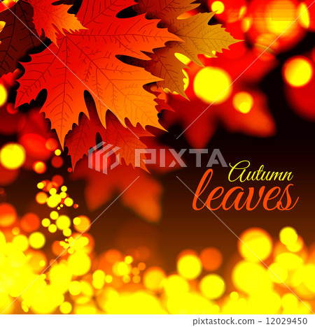Autumn leaves Autumn leaves 12029450