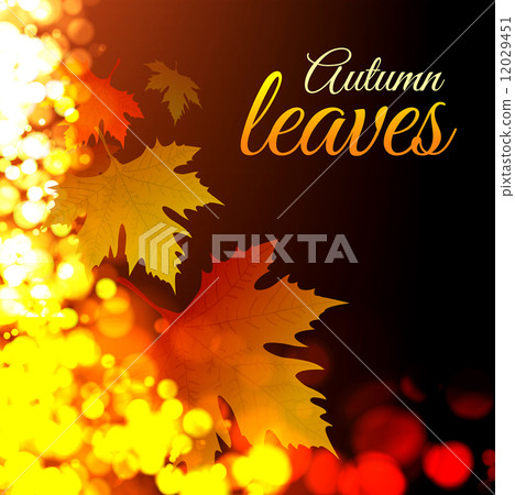Autumn leaves Autumn leaves 12029451