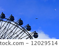 Ferris wheel  12029514