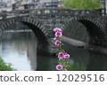 Eyeglass Bridge and Xeniaoi 12029516
