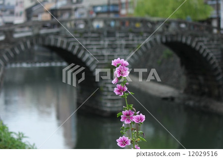 Eyeglass Bridge and Xeniaoi Eyeglass Bridge and Xeniaoi 12029516