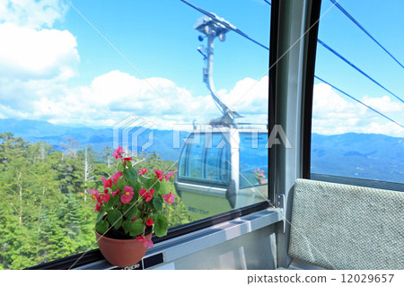 Begonia in the gondola 12029657