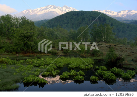 Norikura Kogen, Maimame Pond Norikura Kogen, Maimame Pond 12029686