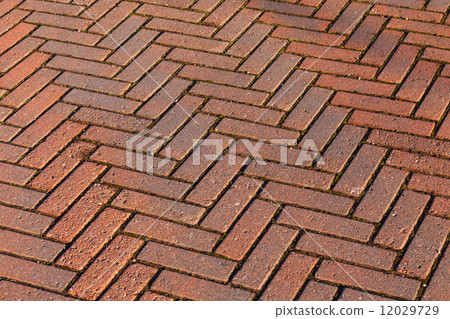 Red brick road pavement, abstract background texture 12029729