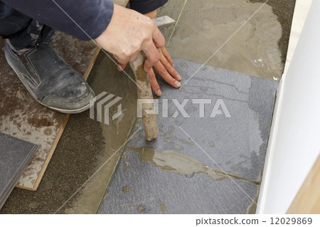 Tiling 12029869